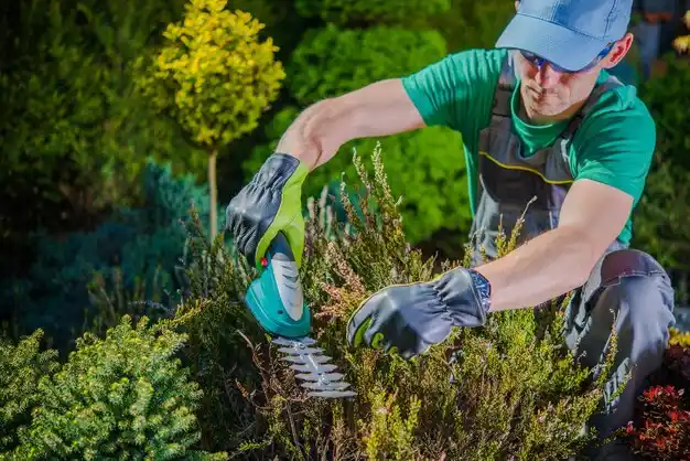 landscaping services Ishpeming